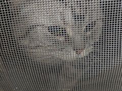 -美联众合动物医院·24h京西诊疗中心