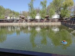 -尚庄度假村·庭台树下·户外烧烤·团建CS·轰趴营地(上庄水库店)