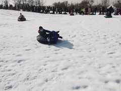 -绿野森林乐园冰雪季
