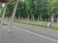 -皇粮浜公园