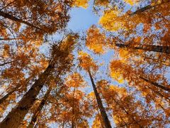 -南京金牛湖风景区