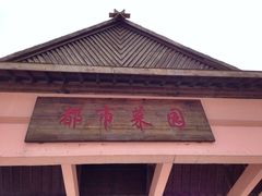 -上海都市菜园