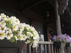-东梓关景区村庄