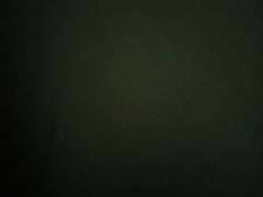 -巢爷老味(东方红店)