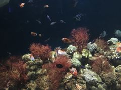 -福州罗源湾海洋世界旅游区