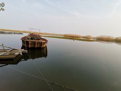 -泗洪洪泽湖湿地景区