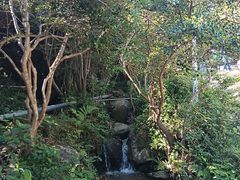 -大姆山草场