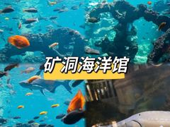 -长鹿旅游休博园