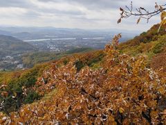 -吉林市朱雀山国家森林公园