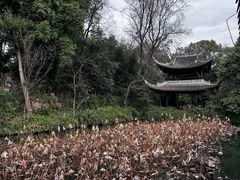 -三苏祠