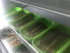 -蚝专家