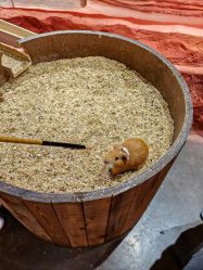 -Zoolung Zoolung动物主题公园(海信广场店)