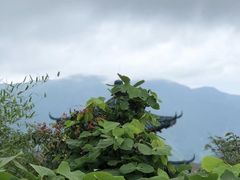 -江南天池