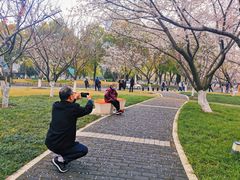-西北湖绿化广场