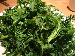 -九毛九西北菜(大东海店)