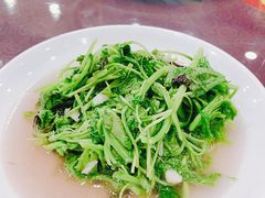 -红灯笼龙凤饭店(宁波老字号店)