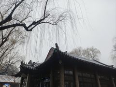 -趵突泉景区
