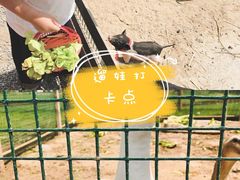 -前小桔亲子创意农场·草莓采摘·露营烧烤
