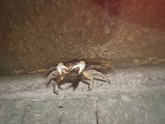 -狼山风景名胜区