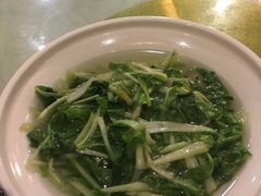 -中国饭店-餐厅