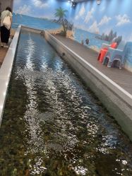 -钓虾工场·钓虾·赶海(回龙观店)