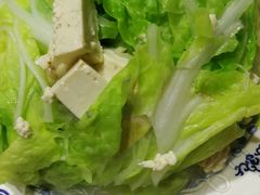 白菜豆腐粉丝-老爆肚满五香烧牛羊肉