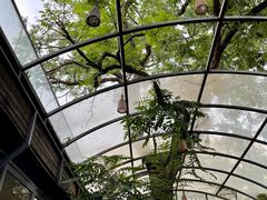 -zarah(鼓楼店)