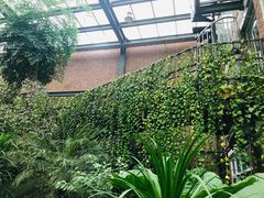 -国际安全防卫学院