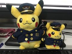 -关西国际机场直营免税店