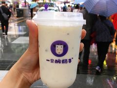 -一只酸奶牛(八一路店)