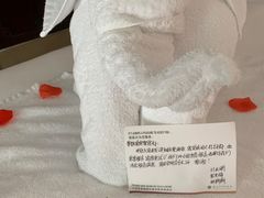 -三亚亚龙湾雅高铂尔曼别墅度假酒店