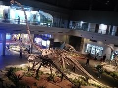 -自贡恐龙博物馆