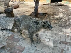 -青藏高原野生动物园