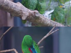 -上方山森林动物世界