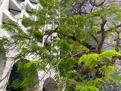 -尼依格罗香港美利酒店