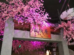 -韵秋荷(宝山龙湖天街店)