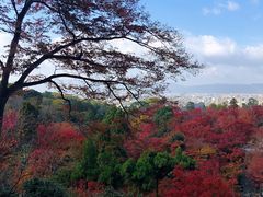 -有栖山 清光院 清水寺