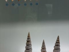 -青岛贝壳博物馆