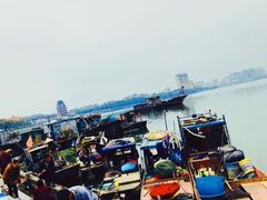 -喜碧海鲜·二十年本土海鲜老字号(上排店)