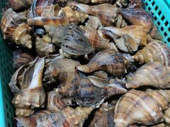 -海大大蒸汽海鲜餐厅·粤菜·特色小炒(欢乐颂店)