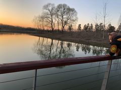 -东郊湿地公园