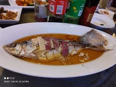 醉香蒸鲥鱼-御花园·粤菜·海鲜火锅(中山公园店)