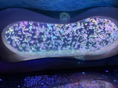 -海合安天津极地海洋公园