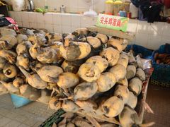 -大湾区中央湿地公园-十九涌