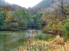 -白马涧龙池景区