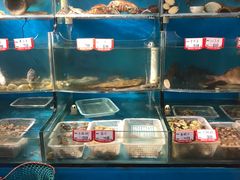 -大城·烧烤海鲜大排档(台东店)