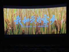 -宁波影都(鄞州印象城店)