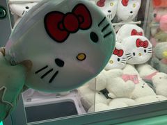 -天天玩X秋葉原日系动漫游戏中心