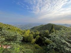 -长沙黑麋峰国家森林公园