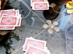 -三圣花乡旅游区